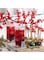 LAV-ELEGAN LONG DRINK 335cc 6PC ST