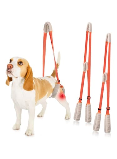 SYOSI 2 Pcs Dog Support Harness for Back Legs, Dog Rear Lifting Sling Aid with Handle and Shoulder Strap, Portable Lifting Sling Support Strap Help Dogs with Poor Stability (Orange)