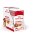 Royal Canin SHN Medium Adult Wet Food Pouches Box of 10x140g Size Health Nutrition Dog