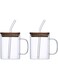 Neoflam 2Pcs Borosilicate Glass Mug Set with Wooden Lid &amp; Reusable Straw, Heat-Resistant Expresso Coffee Mugs Tea Set, Clear Mugs with Straw Hot &amp; Cold Beverage Cups (Clear, 480, Milliliters)