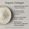 Sports Research Organic Collagen Peptides - Hydrolyzed Type I &amp; Iii Collagen Protein Powder Sustainably Sourced From Grass-Fed Bovine - Unflavored, Organic Certified &amp; Gluten Free - 30 Servings
