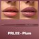 Palladio Retractable Waterproof Lip Liner, High Pigmented &amp; Creamy Color Slim, Twist Up Smudge Proof Formula With Long Lasting All Day Wear, No Sharpener Required, Plum