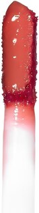 Palladio Jelly Tint (Nude Berry) - Liquid Lip &amp; Cheek Stain With Vivid Color) Lightweight, Transfer-Proof, Non-Sticky Formula, Natural Finish, Vegan &amp; Cruelty-Free