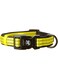 Alcott Essentials Visibility Adventure Pet Collar, Medium, Neon Yellow