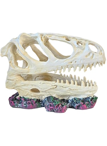 aoliiHou Dragon Skull Water features home decor resin simulation offering hidden suitable for fish, shrimp, lizards, reptiles, frogs