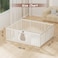 Little Story - Portable Playpen w/ Door- Bear White