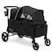 TEKNUM Fellow Wagon Stroller for 2 kids with Snack Tray - Black