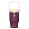 Hydrobrew Vacuum Insulated Tumbler w/ handle, 500ml Purple