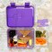HYDROBREW Sparkle Series Bento Lunch Box - Berry