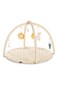 Little Story Baby Play Mat/Activity Gym - Beige