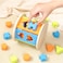 Little Story Wooden Activity Box Early Education Montessori 12 Pcs - Multicolor
