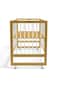 TEKNUM Prism 4in1 Acrylic Convertible Crib w/ mattress - Natural Brown