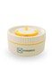 Hydrobrew Trio Deck Lunch Box with Cutlery - Opal Cream