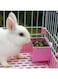 NeoStyle Rabbit Food Bowl, Anti Bite and Tip Guinea Pig Food Bowl, Rabbit Cage Accessories Hanging Food Dispenser (Pink)