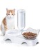 Mumoo Bear Double Dog Cat Bowls - Pets Water and Food Bowl Set, 15&deg;Tilted Water and Food Bowl Set with Automatic Waterer Bottle for Small or Medium Size Dogs Cats