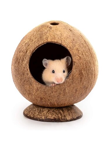 Hamster Bed, KASTWAVE Warm Small Pet Animals Bed, Cute Hamster House Pet Nest, for Gerbils Mice Small Animal Cage Habitat Decor