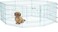 MidWest Blue Exercise Pen with Door 24