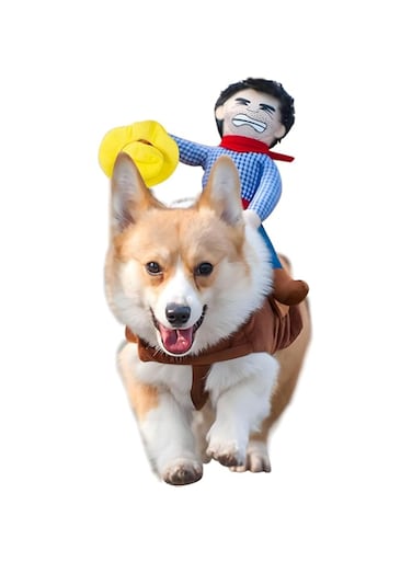DELIFUR Dog Halloween Costume Funny Dog Cowboy Riding Costume Pet Costume Cat Suit Cowboy Rider Style for Small Medium Large Dogs (Medium)