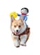 DELIFUR Dog Halloween Costume Funny Dog Cowboy Riding Costume Pet Costume Cat Suit Cowboy Rider Style for Small Medium Large Dogs (Medium)