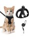 QUEENADA Cat Harness and Leash Set - Adjustable Soft Kittens Vest for Walking Escape Proof, Easy Control Soft Breathable Mesh Jacket(Black M)