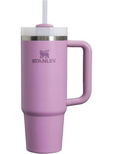 H2.0 FlowState 40oz Tumbler &acirc;&euro;&ldquo; Stainless Steel Vacuum Insulated Mug with Handle, Lid &amp; Straw for Water, Coffee, Smoothies &acirc;&euro;&ldquo; BPA Free, Leak Resistant, Dishwasher Safe &acirc;&euro;&ldquo; Purple