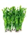 Artificial Seaweed Water Plants for Aquarium, Plastic Fish Tank Plant Decorations Home D&eacute;cor Plastic Green 10 PCS (Little-Green)