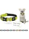 Doco Puffy Mesh Collar (DCA102) Sizes - XS, Color - Lemon (5/8"x 8-12")