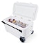 IGLOO-Sunset Glide 110 Qt Cooler Box - White