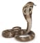 Papo King Cobra Toy Figure
