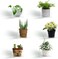 Yulejo Acrylic Floating Shelves Set