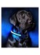 PUPU LED Dog Collar,USB Rechargeable Light Up Dog Collars 100% Waterproof Lighted Dog Collar Super Bright Dog Safety Lights Glow in The Dark， Light Up Collar for Medium Large Dogs