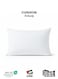 Bedding Throw Pillows Insert Cushion Filler Outer Cover HD Microfiber Filling 400 grams Ultra Soft Fiber Size 30x50cm , 12x20inch Cushion Inserts Home Decor White (Pack of 1)