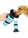 Water Bowl Bottle Sipper Portable Aqua Dog Outdoor Travel Water Bottle Bowl 18-oz Dog Bottle Auto Dog Mug for Pets, dog bowls for food and water, bottle for dogs - Multicolor