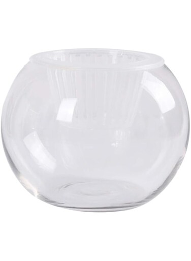 Yarnow Bubble Fish Bowl Clear Glass Hydroponic Plant Holder Clear Terrarium Container for Flowers Succulent Home Table Decoration Wedding Gift (20CM)