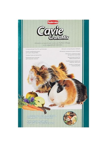 PADOVAN CAVIE GRAND MIX -850GM (Compound feed for guinea pigs, chinchillas and degu)