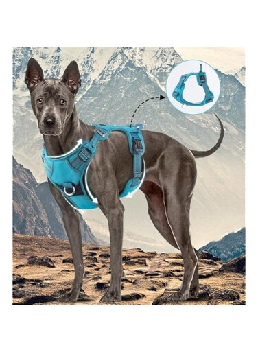 Sports Dog Harness, Light and Breathable Design - Easy On and Off, No Pull Training, Size Adjustable, Non Choke with Handle for Control (Lake blue, S)