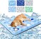 ANAHAT Cooling Mat for Pet Water Injection Cooling Mats Cooling Bed Mats,Self Coolingl Mat Pads for Dogs Cats Indoor and Outdoor (Polar Grey, L(60 * 50cm))