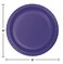 Touch Of Color Purple Paper Plates 9in 24ct