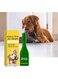Azonee 1 Pack Spot on Flea Tick Lice Repellent Pet Kit 1 Pipettes in Total of Spot on Treatment for Pets, Stops Fleas Multiplying on Pet and in Home, Insect &amp; Flea Treatment for House &amp; Animal