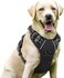 KASHIWA No-Pull Dog Harness Padded Adjustable Pet Vest Harness with Handle Front Clip Harness Perfect Fit for Large Dogs Training or Walking, Durable and No Choking (S)