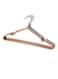10-Piece Anti-Slip Metal Hook Hangers Golden 41.5cm