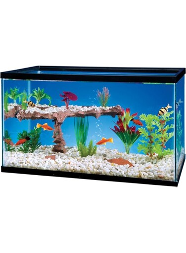Penn-Plax TT2 Tank Terrace Aquarium Shelf System   Add Visual Interest to Your Tank with This Durable Shelf