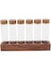 Coffee Bean Storage Jar, Transparent Glass Compact Easy Access Coffee Bean Storage Tubes for Kitchen (Single Row 6 Holes)