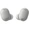 Sony WF-1000XM6 True Wireless Noise Cancelling Earbuds &ndash; Silver (International Version)