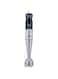 Geepas 700W Stainless Steel Hand Blender - 2 Speed Powerful Motor with Stainless Steel Blade &amp; Removable Stick   Ideal for Smoothies, Shakes, Baby Food, &amp; Fruits