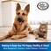 Four Paws Wee-Wee Outdoor Disposable Bags with Easy Tie Handles, Scented, 60 Count 7 x 11