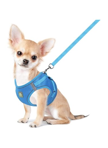 FEimaX Dog Harness and Leash Set, No Pull Breathable Soft Mesh Puppy Vest Harness Reflective Adjustable Pet Harnesses for Small Medium Dogs and Cats - Outdoor Easy Control for Walking