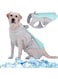 Cooling Vest for Dogs, Dog Cooling Coat for Hot Summer Days, Breathable &amp; Reflective Safety Vest for Small, Medium Dogs, Cooling Jacket for Outdoor Activities, Hiking, Training
