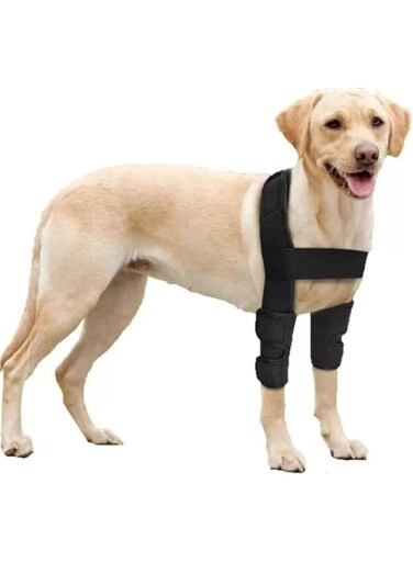 Dog Knee Brace for Back Legs Leg Hock Joint Compression Wrap for Recovery, Protection, and Sprain and Injury Prevention. (Black, M)