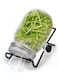 Sprouting Jar with Screen Lid Sprouts Growing Kit Wide Mouth Jar